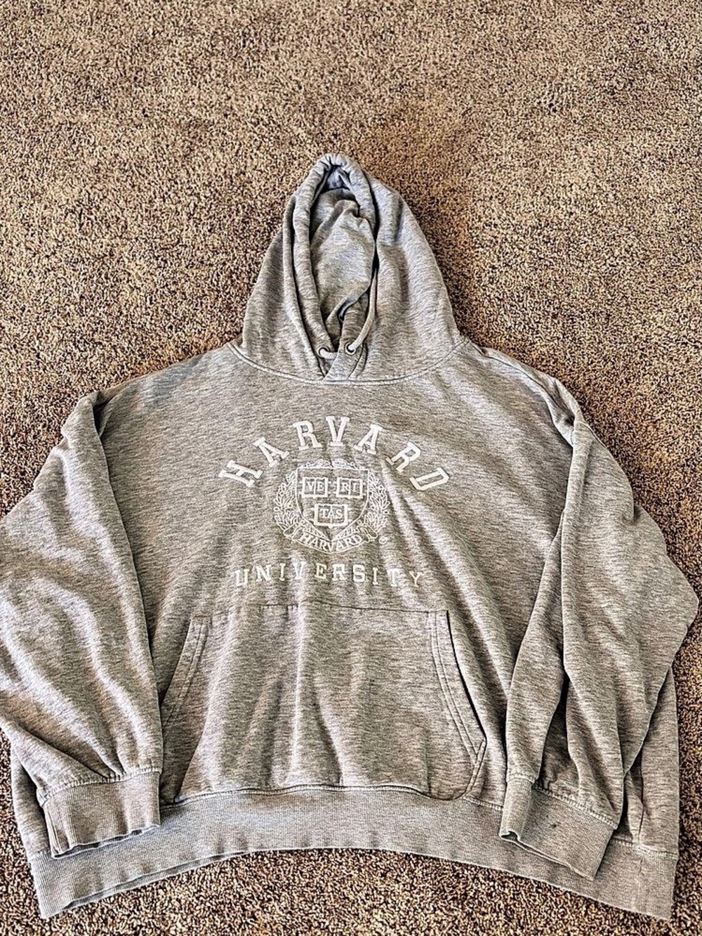 H&M Harvard University Graphic Hoodie Gray XL